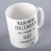 Your New Colleagues Will Be Shit